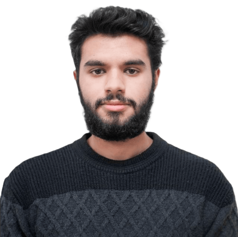 Hamza's pic